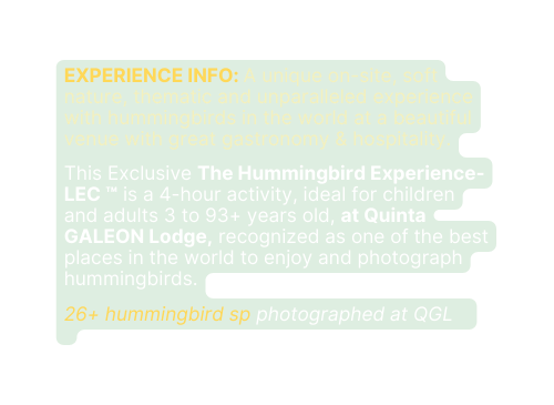 EXPERIENCE INFO A unique on site soft nature thematic and unparalleled experience with hummingbirds in the world at a beautiful venue with great gastronomy hospitality This Exclusive The Hummingbird Experience LEC is a 4 hour activity ideal for children and adults 3 to 93 years old at Quinta GALEON Lodge recognized as one of the best places in the world to enjoy and photograph hummingbirds 26 hummingbird sp photographed at QGL