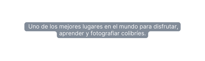 Uno de los mejores lugares en el mundo para disfrutar aprender y fotografiar colibríes