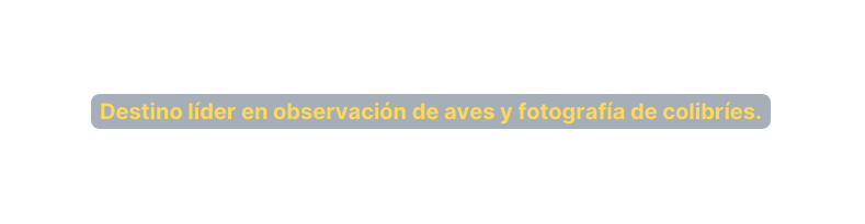 Destino líder en observación de aves y fotografía de colibríes